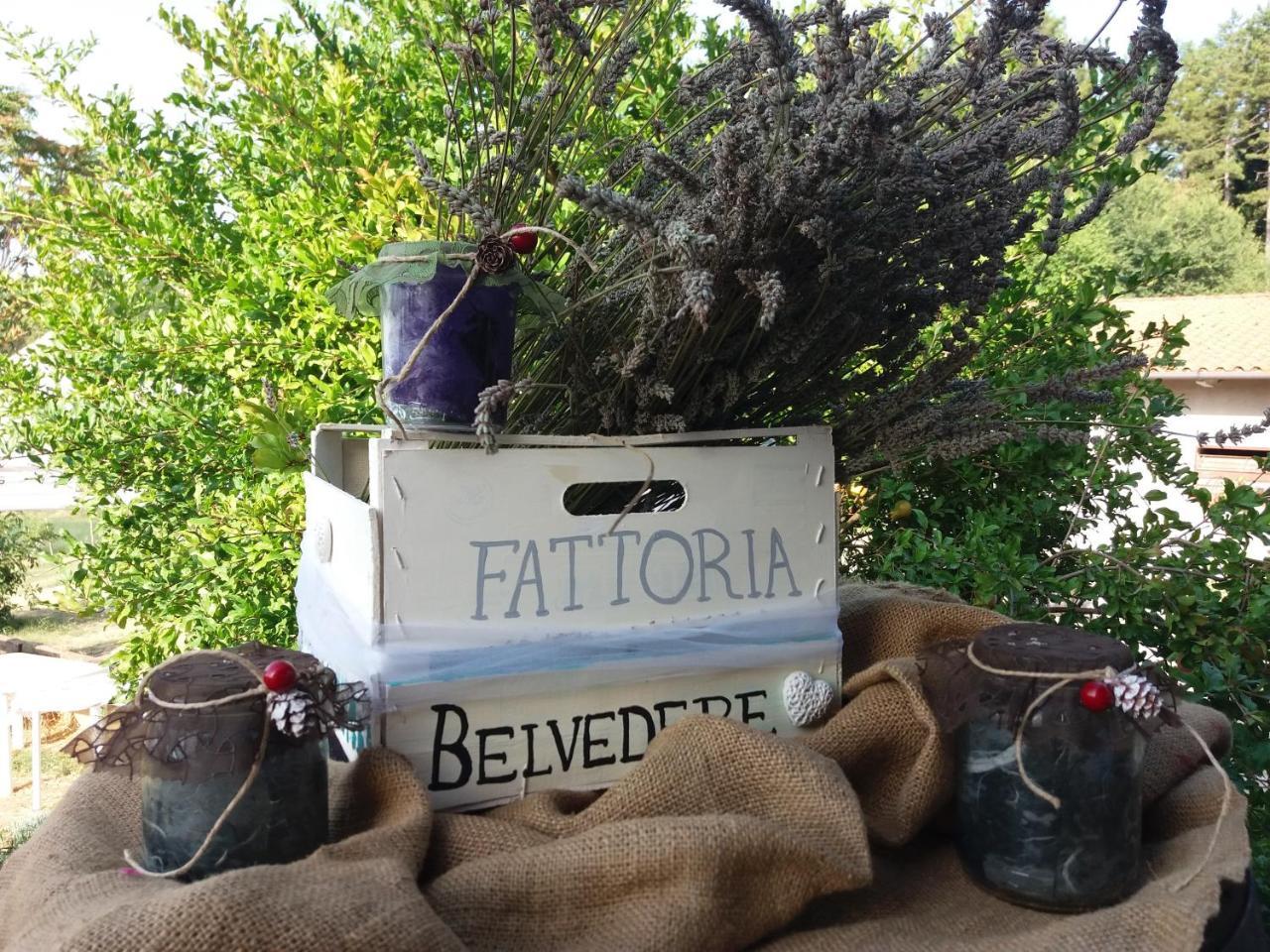 Fattoria Belvedere San Lazzaro di Savena Exterior foto